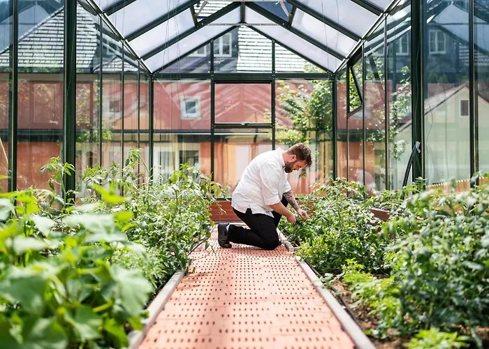 Familien- Sportresort Brennseehof מלון פלד אם סי